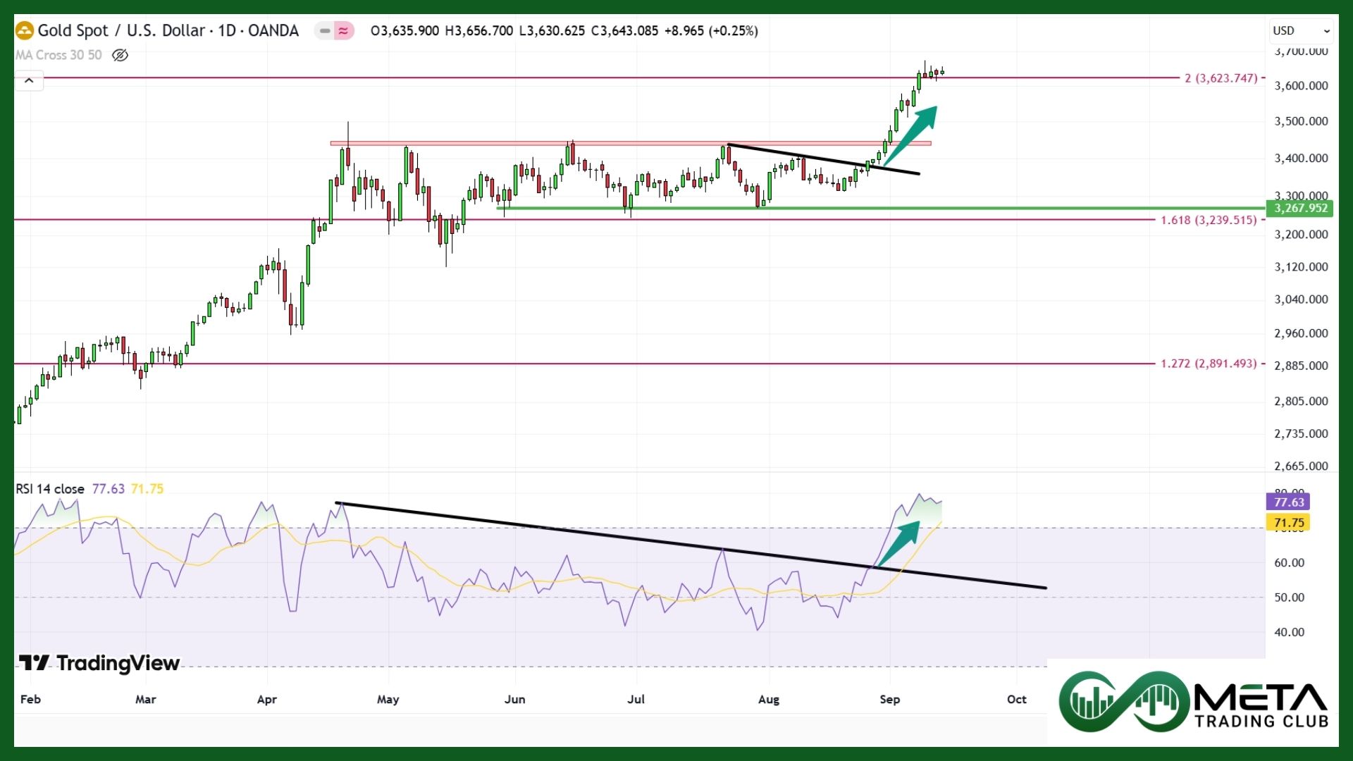 gold after inflation data