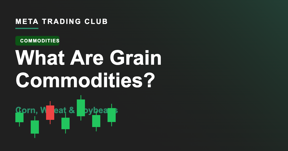 What Are Grain Commodities? Corn, Wheat & Soybeans