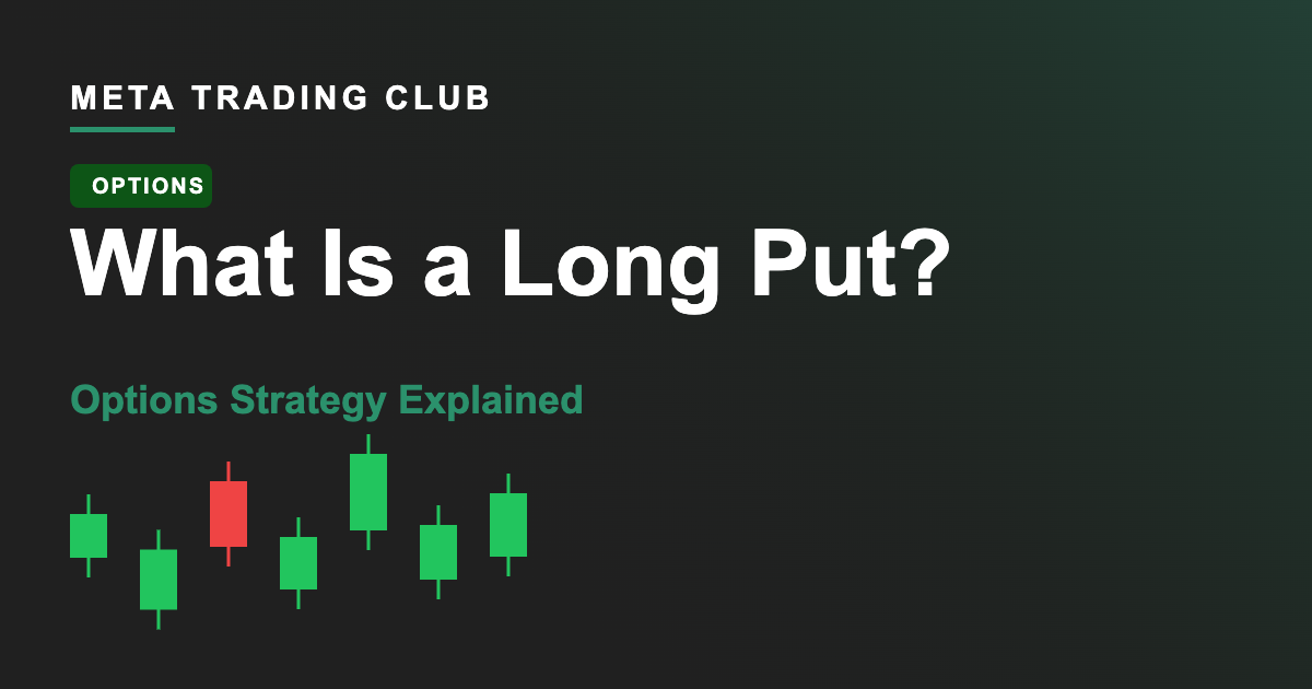 What Is a Long Put? Options Strategy Explained